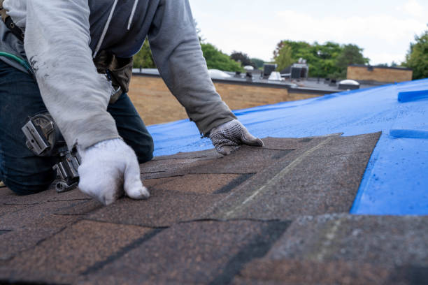 Best Local Roofing Companies  in Lisbon, IA
