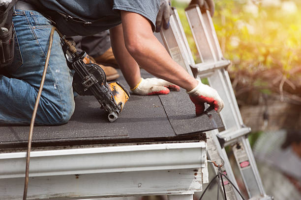 Best Metal Roofing Contractor  in Lisbon, IA