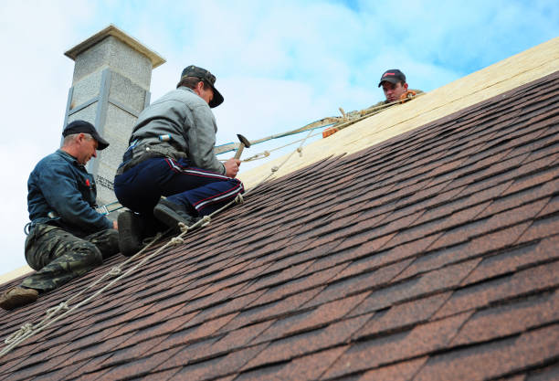 Best Roof Gutter Cleaning  in Lisbon, IA